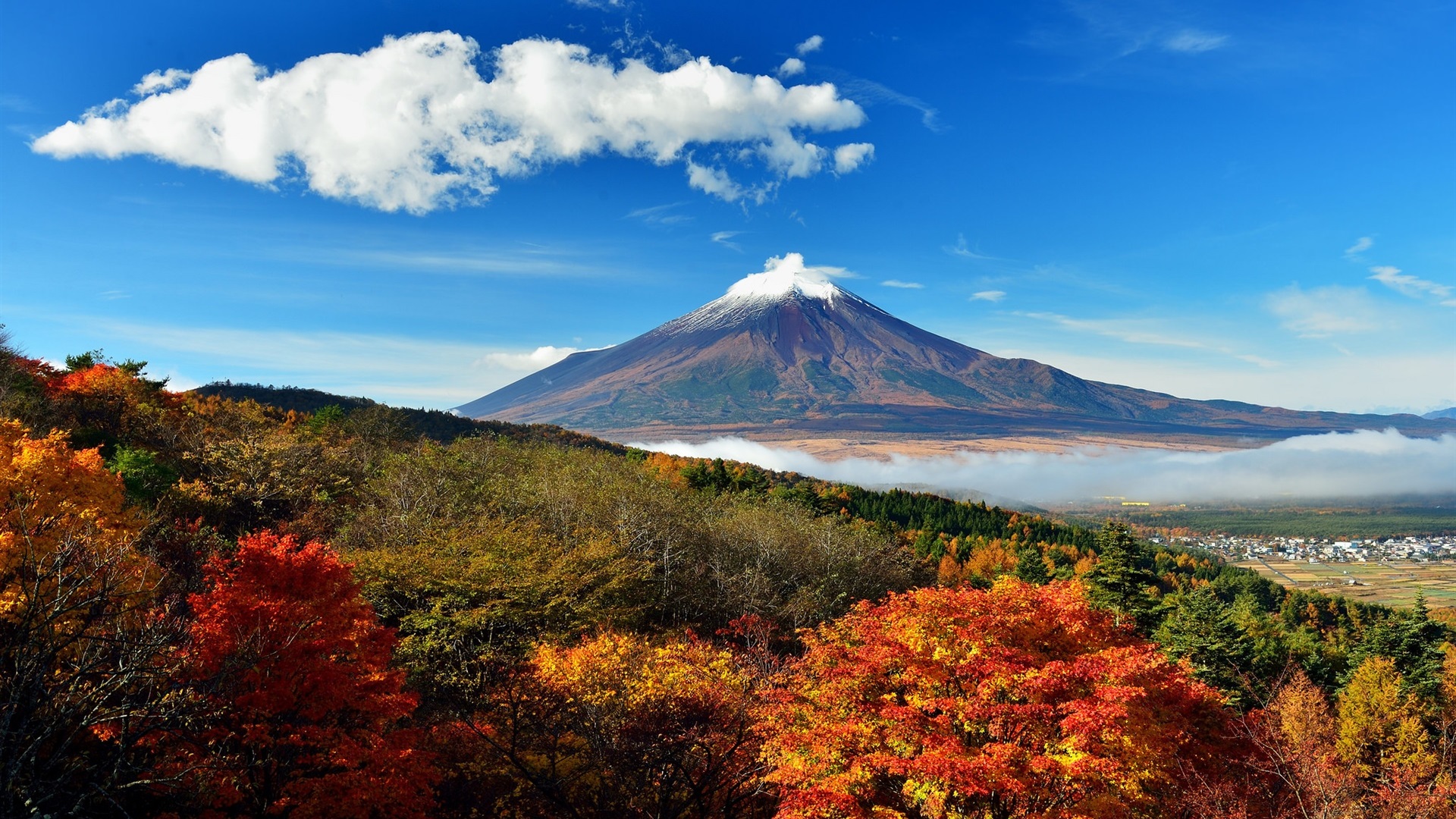 秋意正浓图片 富士山壁纸下载 蓝天高清图片壁纸 我爱图片网